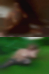 Divinachancellor642, fuck