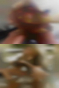 davelang63, free swinging nurse