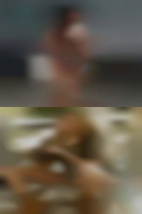Thequietone2022, sex